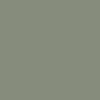 thumbnail – olive