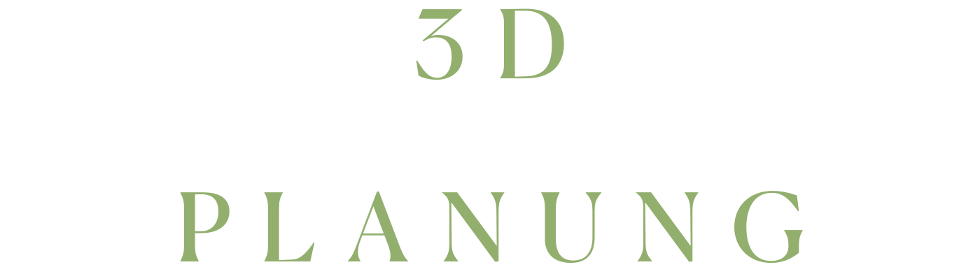 3D Planung
