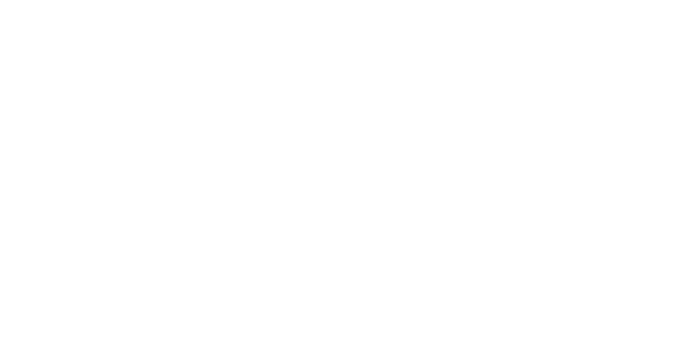 Homepage Pecherstorfer GmbH