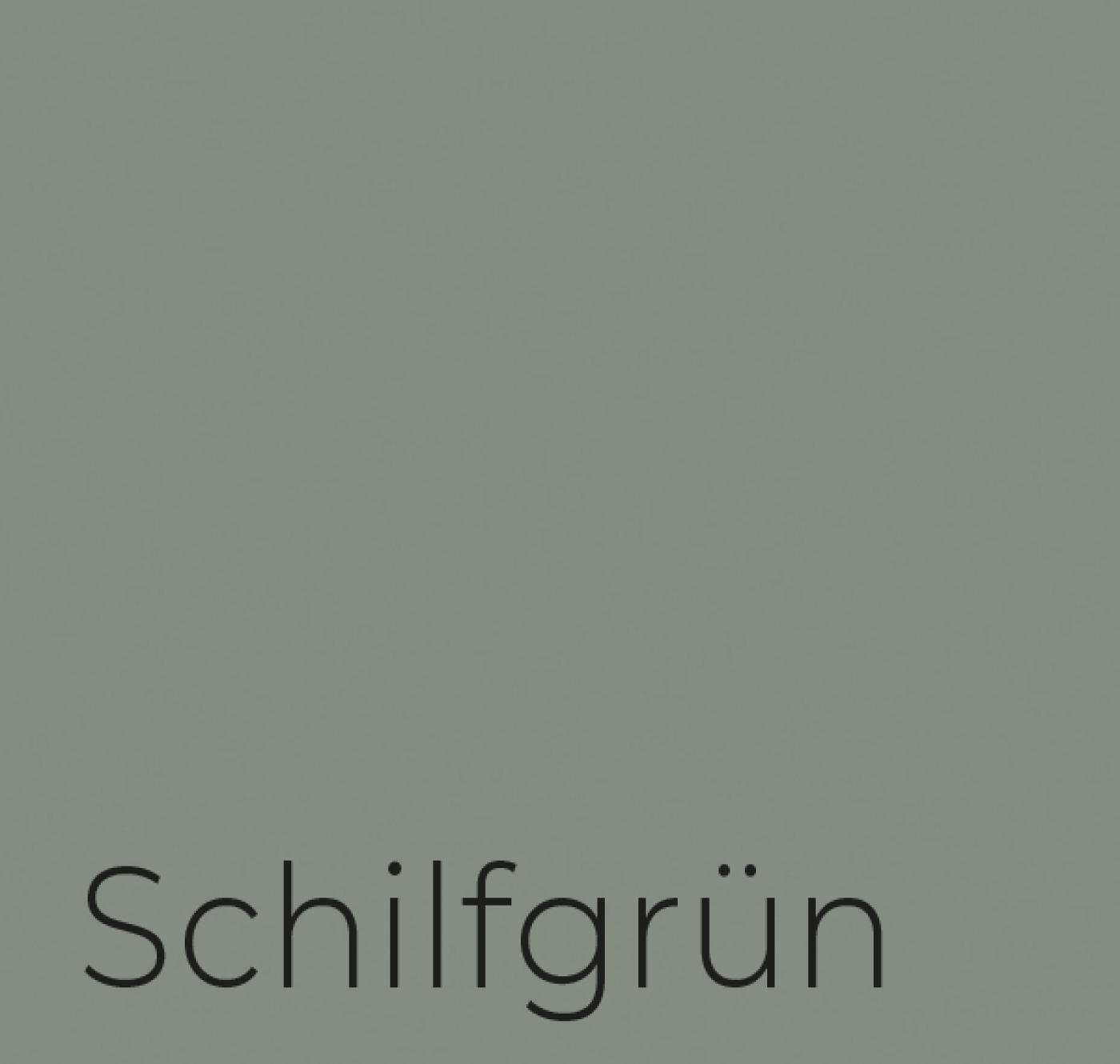 Schilfgrün