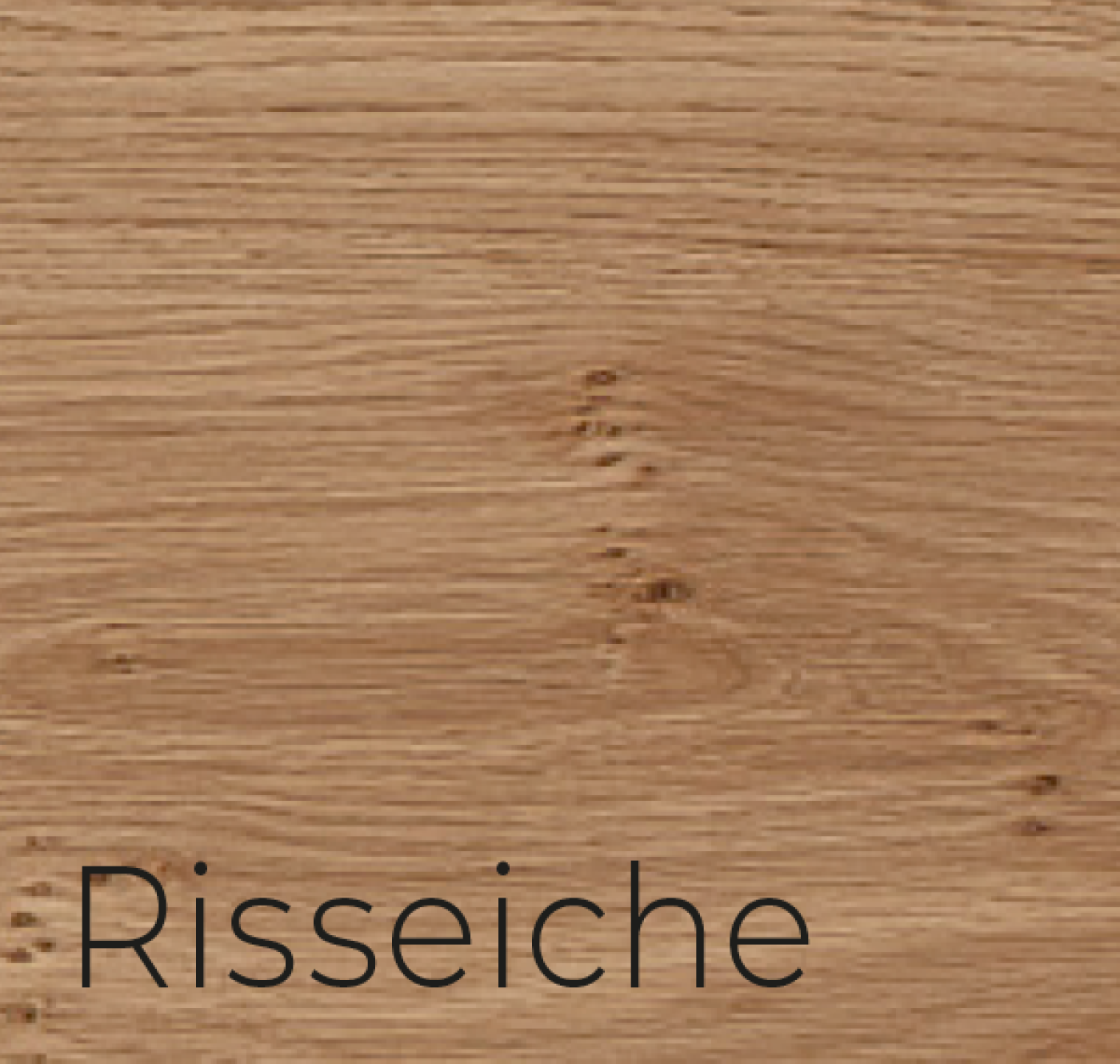 Risseiche
